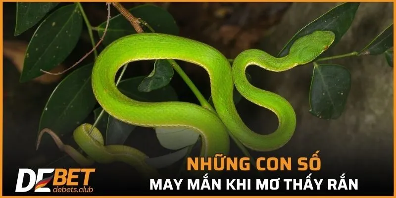 Gợi ý những con số ý nghĩa giúp gia chủ kiếm bộn tiền