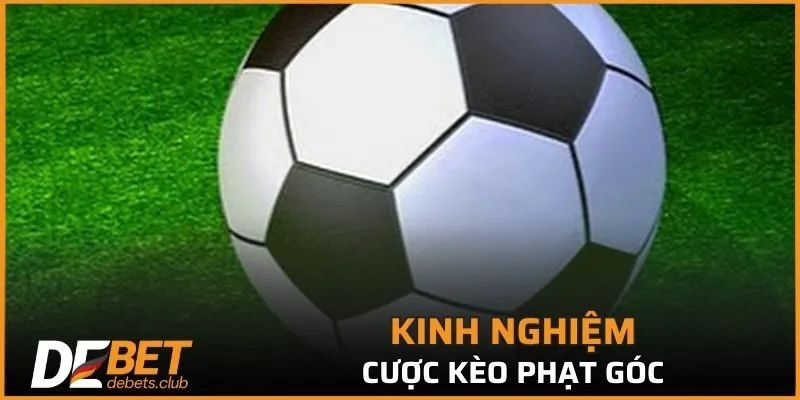 Kinh nghiệm tham gia cá cược trong nhiều trận đấu